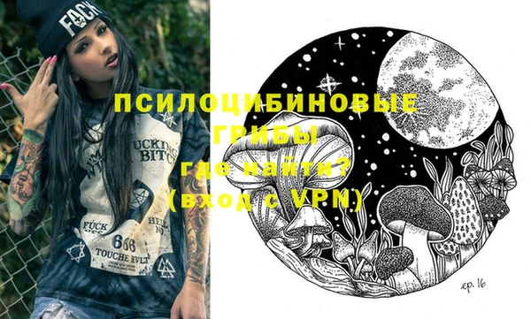 мдпв Дмитров
