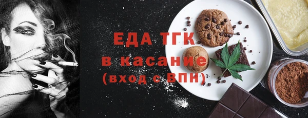 индика Дмитровск