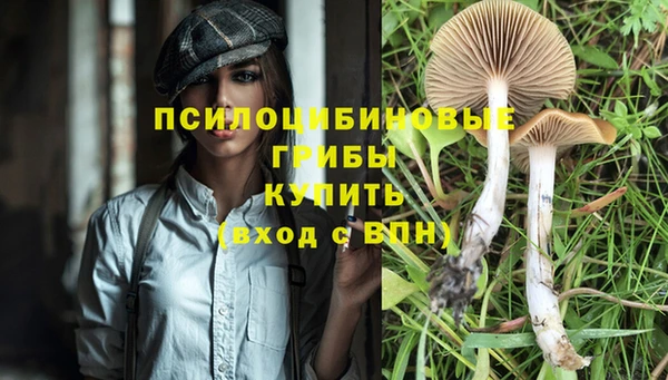 марки nbome Дмитриев