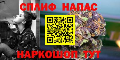 хмурый Дубна
