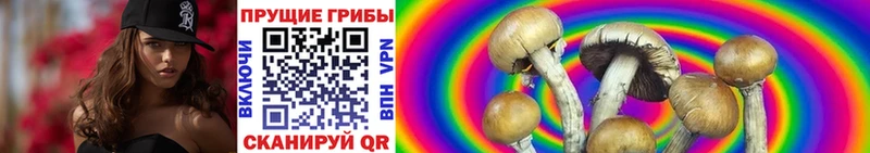 Псилоцибиновые грибы Magic Shrooms  blacksprut рабочий сайт  Горячий Ключ 