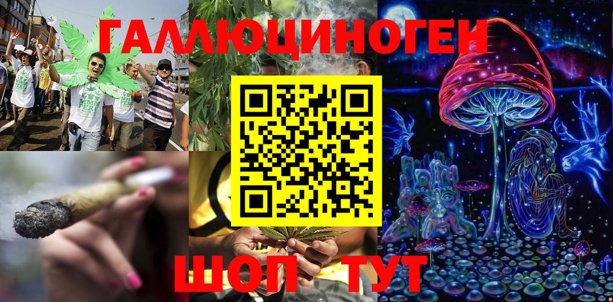 Псилоцибиновые грибы ЛСД Горячий Ключ