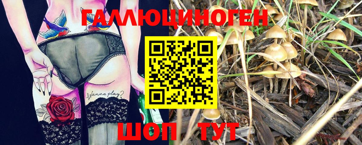 Галлюциногенные грибы прущие грибы  Горячий Ключ 